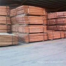 High Quality High Purity Cathode Copper